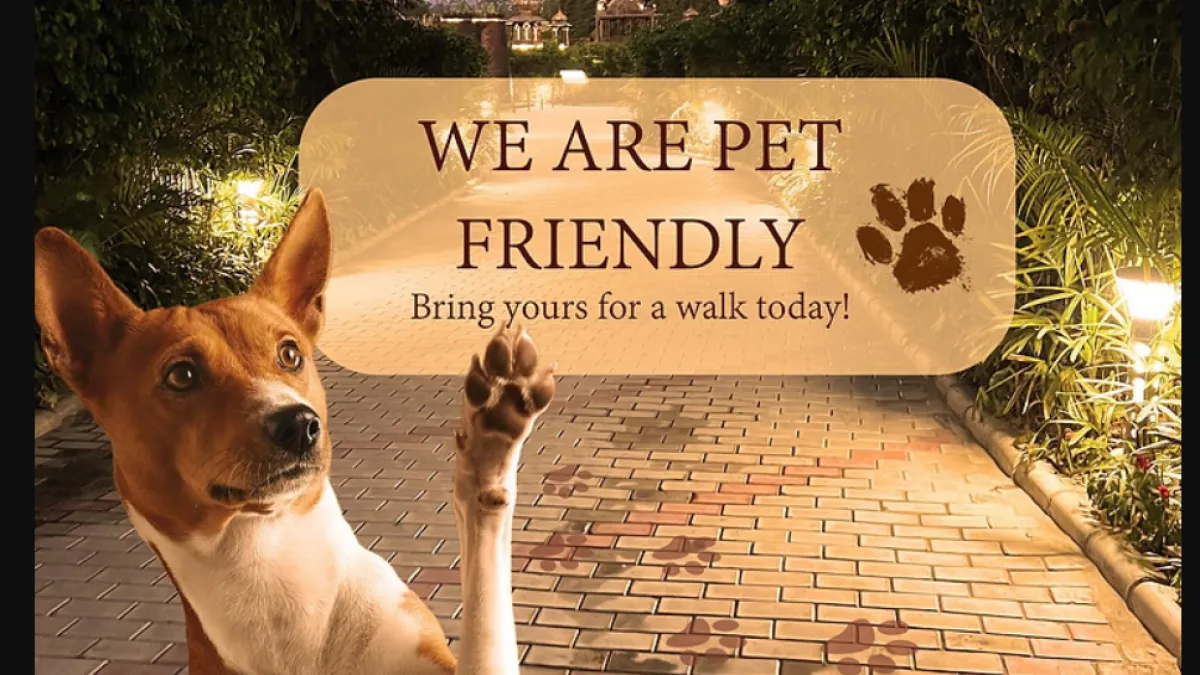 Top Pet-Friendly Spots in Lucknow for You and Your Furry Friends